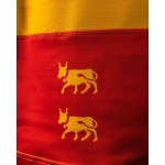 MAILLOT TERRITOIRE SUPERSEVENS 25/26