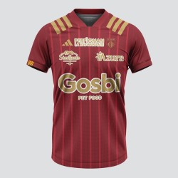 Maillot officiel third USAP SAISON 2024/2025 CBR903