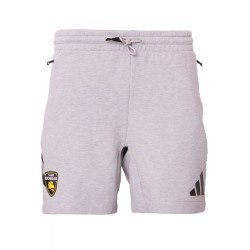 Short Z.N.E. Gris Training