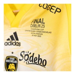 Maillot collector Dublin